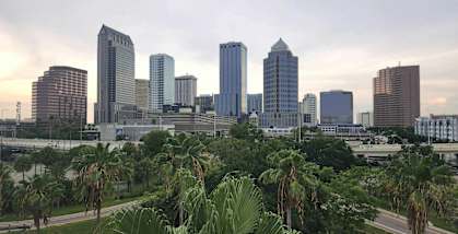 a city skyline with palm trees and tall buildings