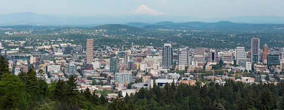 A cityscape with a mountain in the distance.