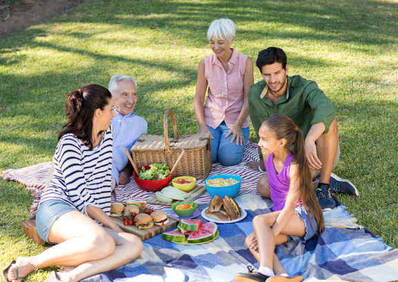 a family having a picnic in the park