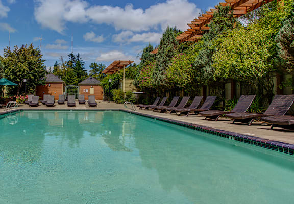 Swimming pool with green surrounding at Commons at Sylvan Highlands Apartments, Portland, Oregon