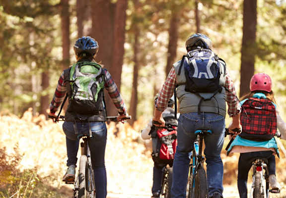 A group of people riding bikes on a dirt trail in the woods.