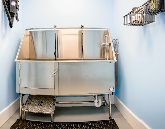 Pet washing amenity