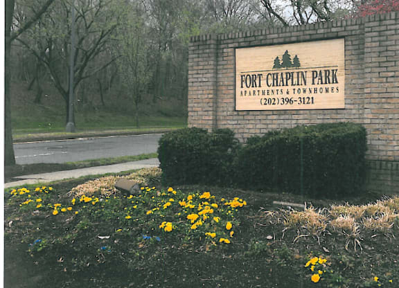 A sign in front of a bush with yellow flowers.