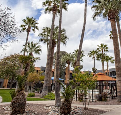 Casa Bella Apartments in Southern Tucson, Arizona Exterior and Pool Area