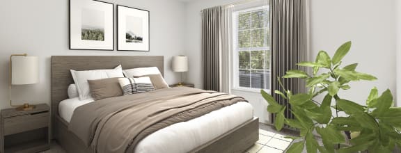 a bedroom with a large bed and a large plant in the corner of the room