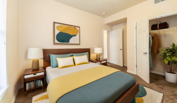 a bedroom with a bed and a closet