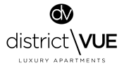 A black background with the letters "dv" in white.