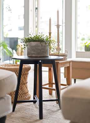 Cozy apartment interior with a plant on a table representing comfortable living at Willow Creek Apartments.