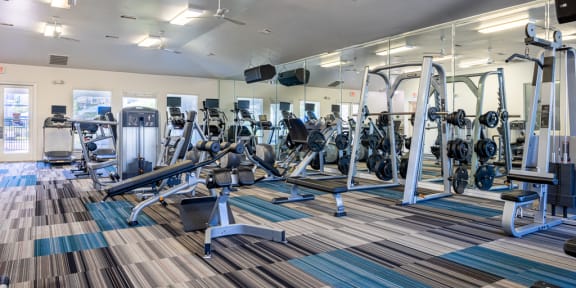 a home gym with weights and cardio equipment