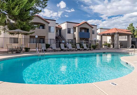 Cantera view of pool with green tree overhead
