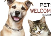 Thumbnail 19 of 19 - a dog and a cat are sitting next to each other