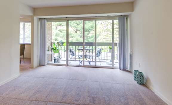 Spacious living room with plush carpeting and natural light