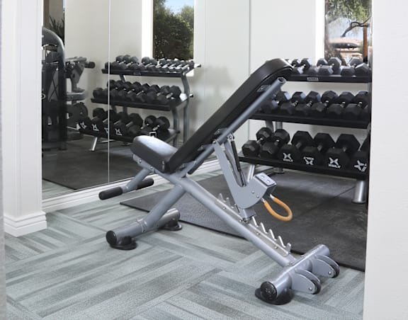 A gym with a mirror, weights, and a bench.