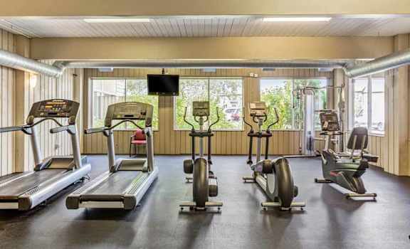 our gym is equipped with a variety of cardio equipment