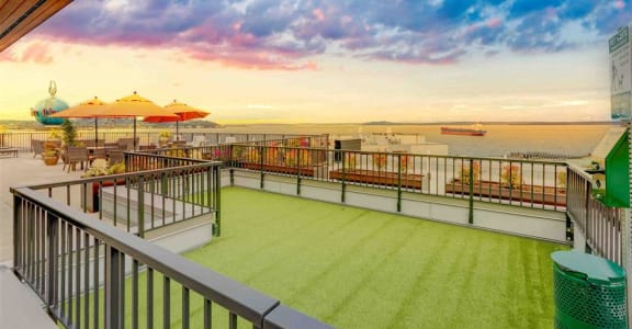 a patio with a green turf and a view of the ocean