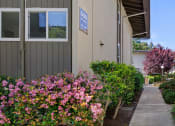 Thumbnail 7 of 17 - a walkway between two buildings with flowers on both sides of the walkway