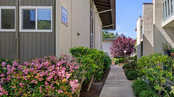 a walkway between two buildings with flowers on both sides of the walkway