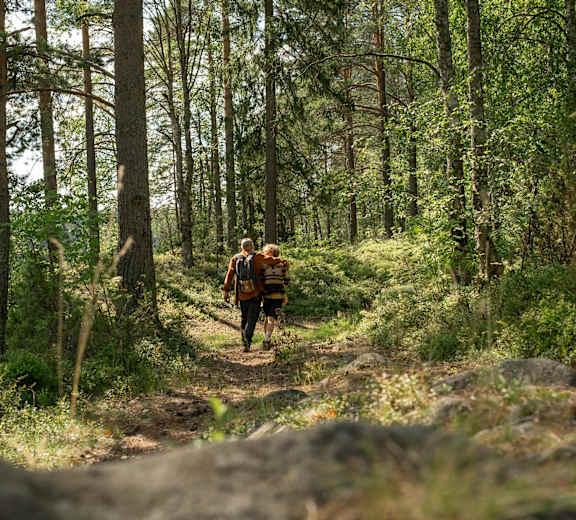 Two people walking on a forest path.