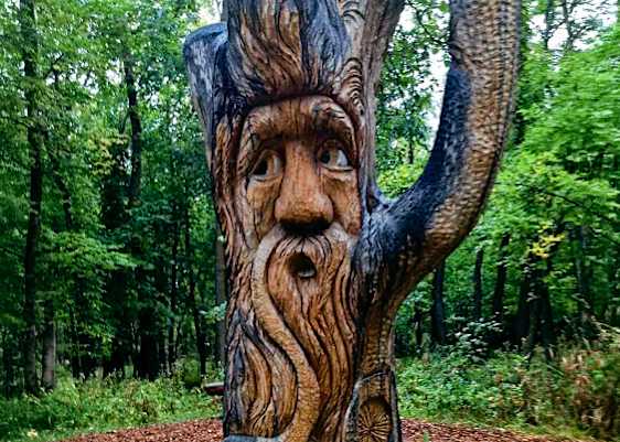 A tree stump carved into a face with a pipe in its mouth.