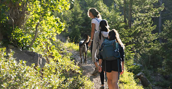 A group of hikers walking along a trail in the woods.