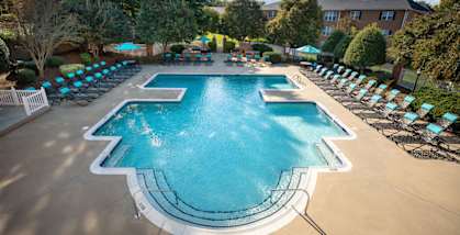 A large outdoor swimming pool surrounded by lounge chairs and trees.