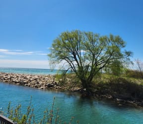 a palm tree on a beach under a blue sky at The Daniels at Northern Gateway, Wisconsin, 53080