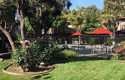 a backyard with a pool and palm trees