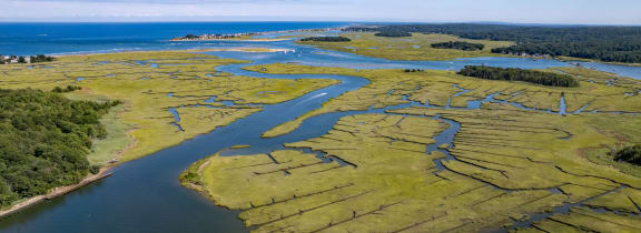 marsh view