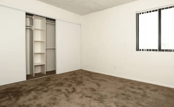 A room with a brown carpet and a white wall with a window.