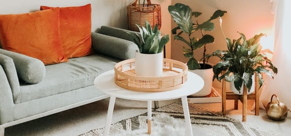 Living room decor