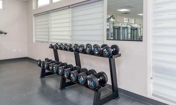 A set of black dumbbells with blue and white writing on them are on a rack in a room.