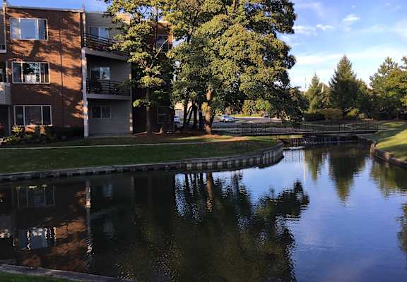 green space around a lake at Williams Reserve, Palatine, Illinois