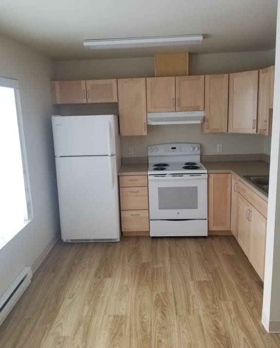 Image of refrigerator, stove, range hood, cabinets and sink