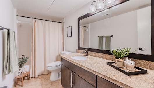 a bathroom with a sink and a toilet and a mirror