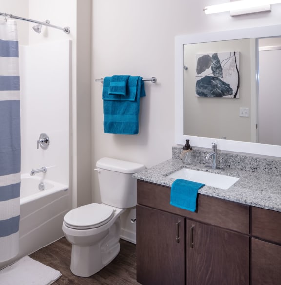Studio and One Bedroom Apartments Rochester MN with Spa Baths-425 S. Broadway, 55904