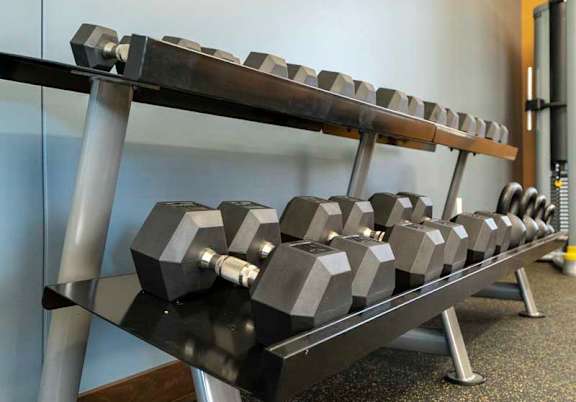 a row of dumbbells in a 24-hour fitness center