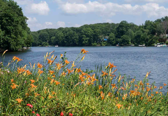 A lake surrounded by greenery and trees with flowers in the foreground.