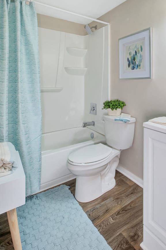 a white bathroom with a blue shower curtain and a toiletat Ridgewood Club Apartments, Virginia Beach