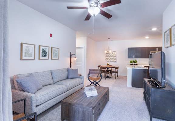 A living room with a grey couch, a coffee table, a television, and a dining table with chairs.