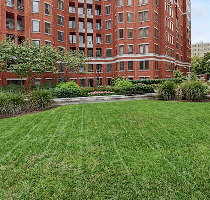 a green lawn in front of two brick buildings at The Saratoga Apartments, Washington, DC 20008