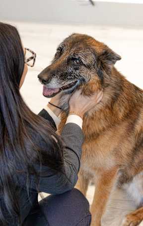Pet Friendly at The Crest at Acworth, Georgia