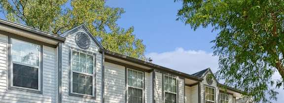 a person walking a dog on a leash