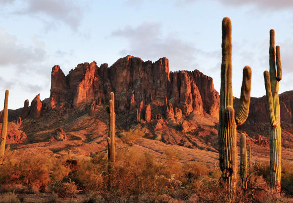Gentrys Walk Apartments Apartments in Mesa, AZ