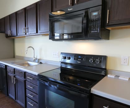 an apartment kitchen with black cabinets and stainless steel appliances