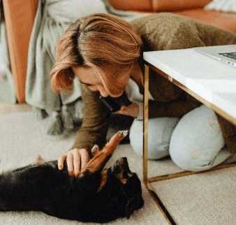 Two dogs dressed in human clothing, one in blue and the other in pink, sitting on a rug.
