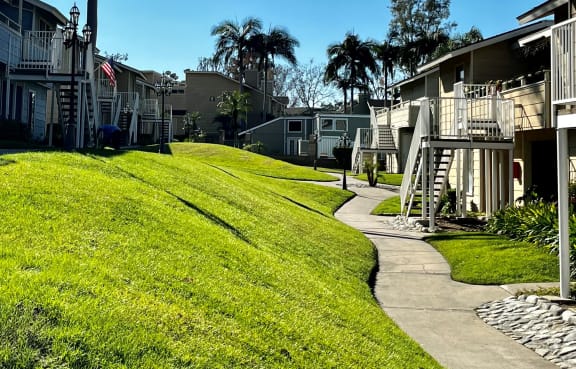 a grassy area with a tree in the middle of it