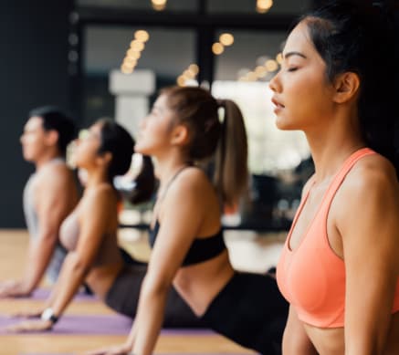 Group of Friends Doing Yoga Together