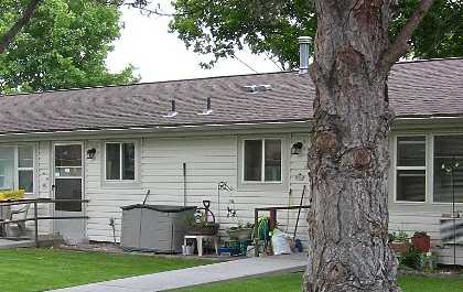 A tree stands in a yard in front of a house.