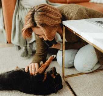 A woman is petting a black dog on the floor.at Tiffany Flats, Ohio, 43231