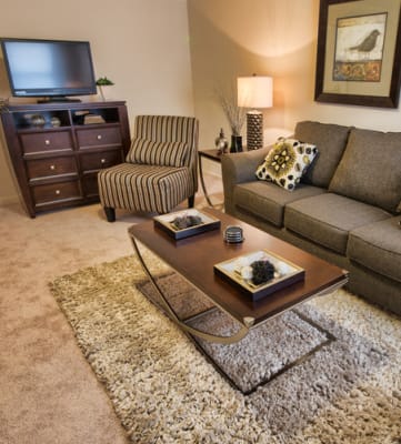 Executive Lodge Apartments Living Room in Huntsville, AL